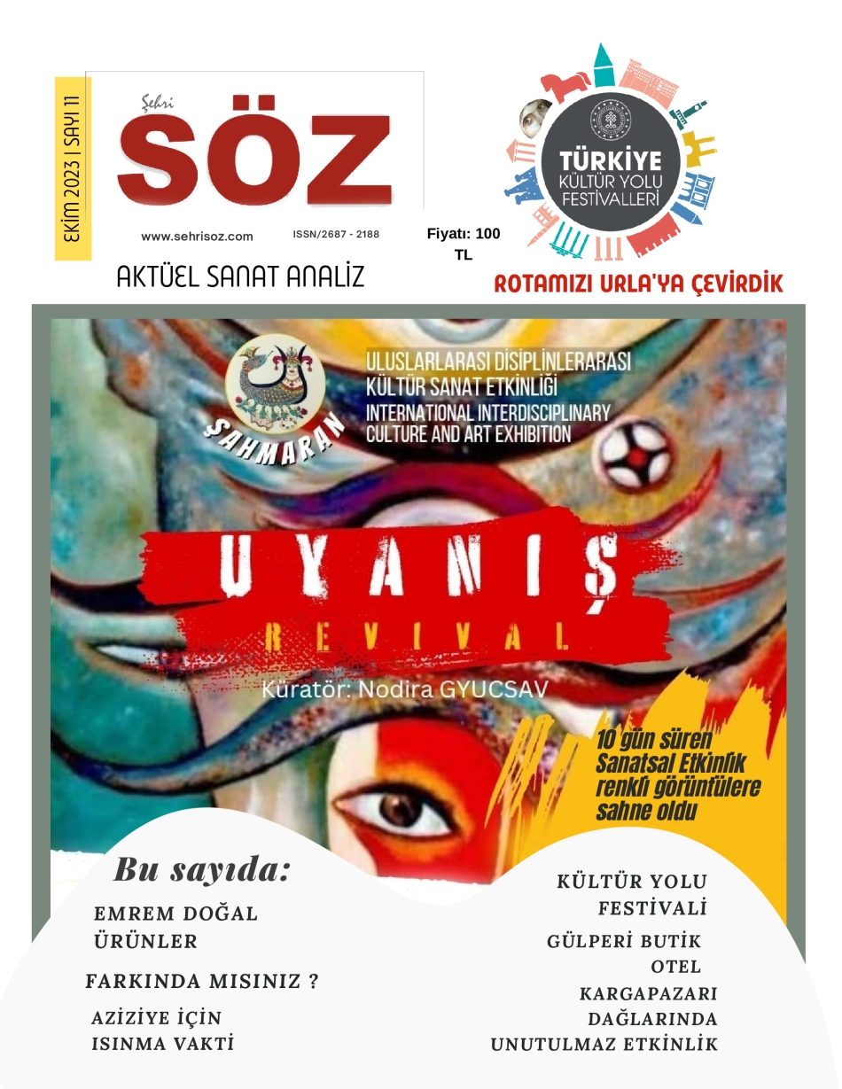 Şehri Söz Sayı 11