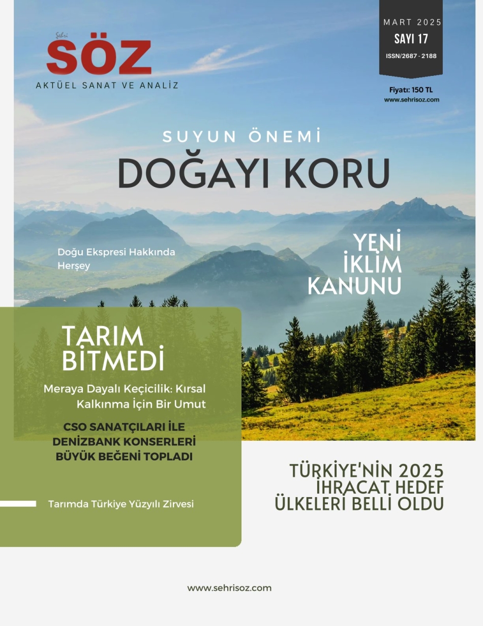 Şehri Söz Sayı 17