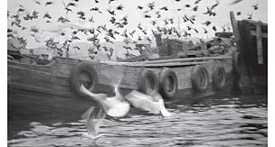 Ara Güler'in İzinde İstanbul"sergisine özel tasarımlar İstanbul Modern Mağaza'da