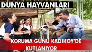 DÜNYA HAYVANLARI KORUMA GÜNÜ KADIKÖY'DE KUTLANIYOR