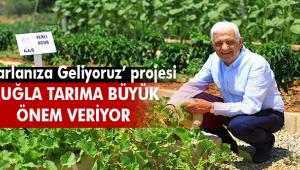 Muğla Belediyesi'nden 'Tarlanıza Gliyoruz' projesi