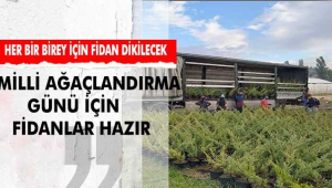 Milli Ağaçlandırma Günü için fidanlar hazır