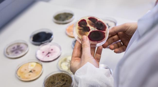 İsraf Ettiğimiz Akşam Yemeği İklim Krizini Tetikliyor