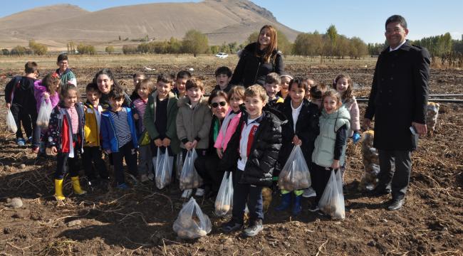 Ticaret Borsası Başkanı Oral, öğrenciler ile birlikte patates hasadına katıldı