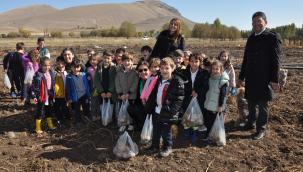 Ticaret Borsası Başkanı Oral, öğrenciler ile birlikte patates hasadına katıldı