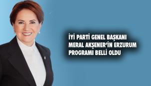 Akşener Erzurum'a geliyor