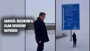 CHP Erzincan Milletvekili Mustafa Sarıgül'den Erzurum Sevgisi: "Kurban Olam Erzurum'a"