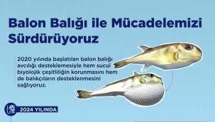 Tarım ve Orman Bakanlığı'ndan Balon Balığına Karşı Büyük Mücadele: Hem Balıkçılar Kazanıyor Hem Ekosistem Korunuyor