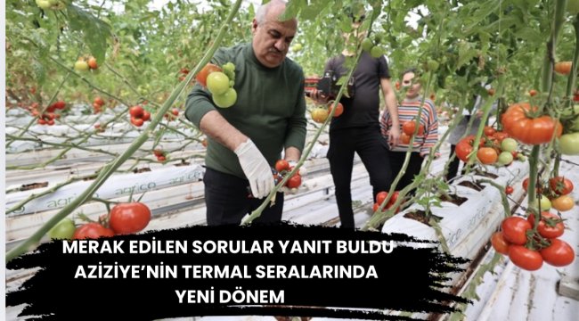 Aziziye'nin termal seralarında yeni dönem 