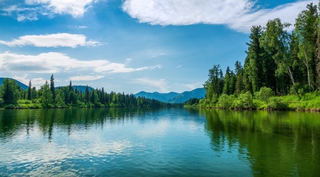 TEMA Vakfı: Ormanları ve su varlıklarını korumak artık bir tercih değil, zorunluluk