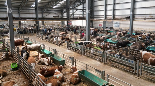 Doğu Anadolu Canlı Hayvan Borsası "Avrupa'nın en büyük tesisi" unvanına sahip