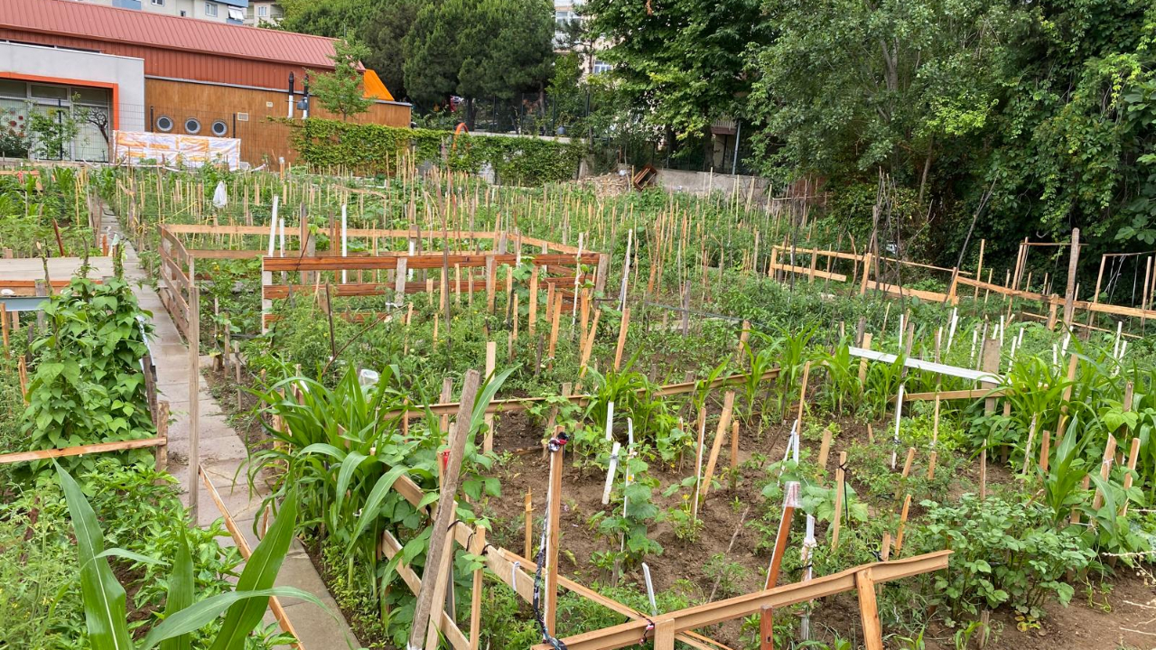 İBB, 2022 yılında başlattığı ‘Halk Bostanları’ projesine devam ediyor