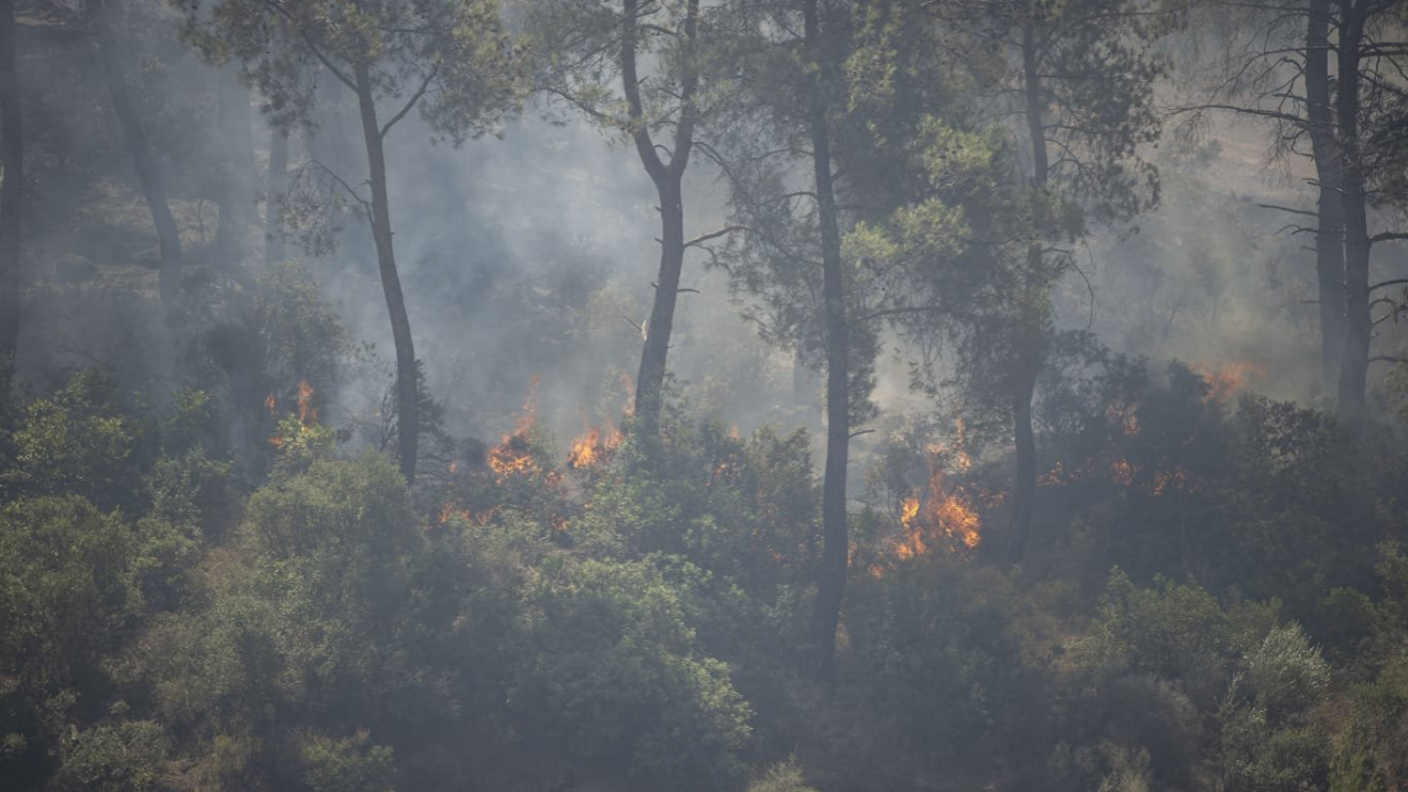 Seferihisar’da Yangınlar Kontrol Altına Alındı