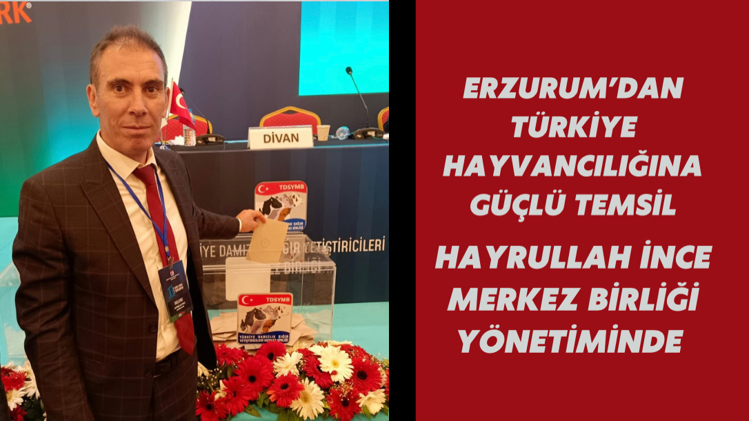 Hayrullah İnce, Türkiye Damızlık Sığır Yetiştiricileri Merkez Birliği Yönetiminde