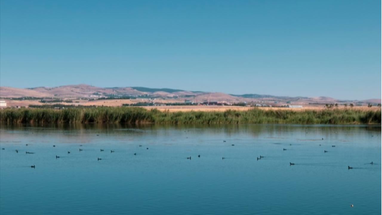 TEMA Vakfı 2025’in Çevre Olaylarını Değerlendirdi