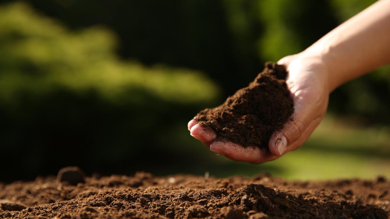 TEMA Vakfı: Sağlıklı kentler için, sağlıklı topraklara ihtiyacımız var!