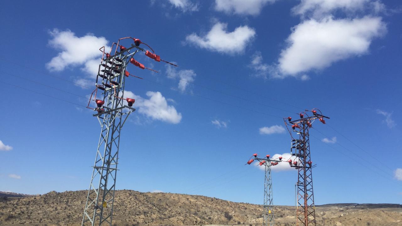 Kuşların Göç Yolculuğunda “Elektrik Çarpması Tehdidinin Önlenmesi” için Uluslararası Çalışma Başlatıldı