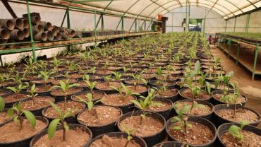 Milyonluk Tasarrufun Adres: Marmaris Belediyesi Seraları