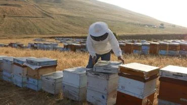 Türk Balını Uluslararası Pazarlara Ulaştıran Balparmak, İhracat Birinciliğini Perçinledi