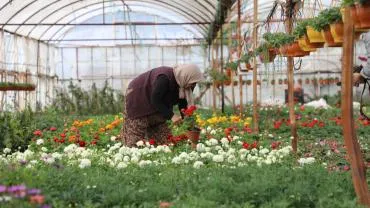 Basın Bülteni Kadın Emeği ile Üretiliyor, Muğla Sokaklarını Süslüyor